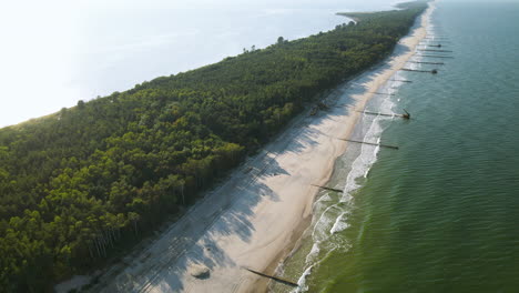 Dense-Foliage-Forest-Landscape-With-White-Sandy-Beachfront-Overlooking-Hel-Peninsula-In-Kuznica,-Poland-During-Sunny-Morning