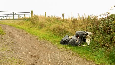 Müll-In-Schwarzen-Plastiktüten,-Die-Von-Kriminellen-In-Einem-Feldtor-In-Der-Englischen-Grafschaft-Rutland-überflogen-Wurden
