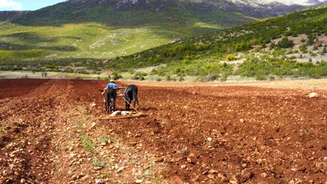 Peasants-working-with-donkeys-cultivate-land-ready-for-sowing-at-mountain-farm-in-Balkans