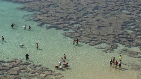 Tourists-in-the-water-of-Hanauma-Bay,-Hawaii-Kai-neighborhood-of-East-Honolulu