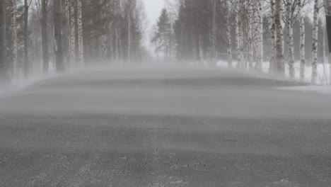 Ground-level-wide-shot-of-Howling-Blizzard-and-Drifting-Snow-blowing-across-lonely-forest-road-surrounded-by-birch-and-pine-trees