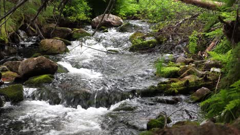 Medium-full-shot-of-small-end-rocky-stream-from-Njupeskär-waterfall,-covered-with-lush-green-vegetation,-at-Fulufjället-National-Park-in-Särna,-Sweden
