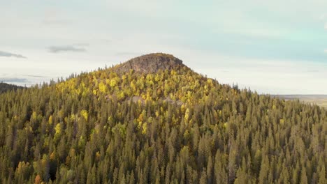 Aerial-Shot-flying-towards-rocky-Scandinavian-Mountain-peak-surrounded-by-conifer-trees-changing-to-Autumn-golden-colors,-in-Sweden,-Lapland