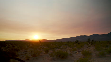 Gleiten-Sie-Entlang-Des-Mojave-Wüstenbeckens,-Während-Der-Sonnenaufgang-Die-Leere-Landschaft-Und-Die-Joshua-Bäume-Erleuchtet