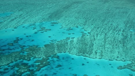 Queensland-Coral-Reef,-Australia