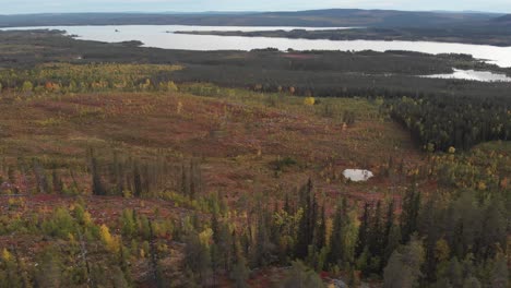 Aerial-slow-moving-survey-wide-shot-of-mountainous-terrain-devoid-of-trees-and-forestation,-with-a-barren-and-sterile-surrounding,-with-a-river-tearing-the-horizon-in-Lapland,-Sweden