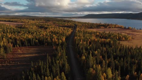 Aerial-moving-forward-slow-tilt-shot-tracking-dirt-road-dividing-thick-golden-forest-of-scratchy-pines-beginning-to-change-to-autumn-foliage,-surrounded-by-nordic-lake-in-Lapland,-Sweden