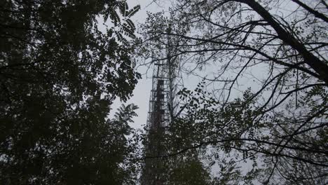 Looking-Up-The-Trees-With-Duga-Array-In-The-Background-At-The-Duga-Radar-Station-In-Chernobyl-Exclusion-Zone-In-Pripyat,-Ukraine