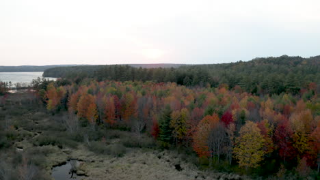 Drone-shot-over-wetland-and-colorful-autumn-forest-at-dusk