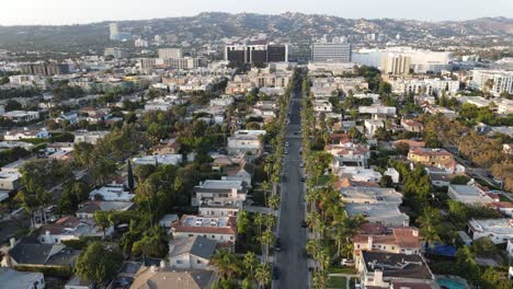 Calle-Bordeada-De-Palmeras-En-Los-Angeles-California