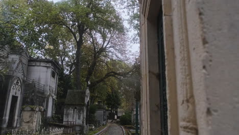 lateral-tracking-in-a-wooded-part-of-the-pere-lachaise-cemetary