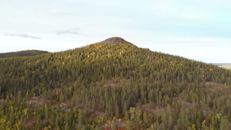 Aerial-Survey-Shot-flying-towards-Scandinavian-Mountain-peak-abounding-with-pine-trees-and-lush-vegetation-in-the-Fall,-in-Sweden,-Lapland