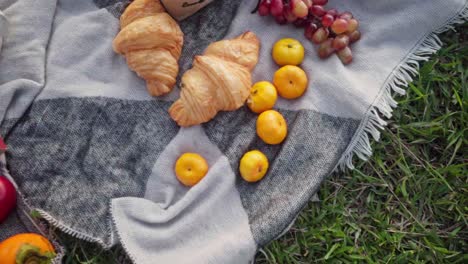 Draufsicht-Auf-Ein-Picknick-Auf-Einer-Decke-Mit-Früchten-Und-Croissants