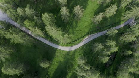 Aerial-top-down-of-a-cyclist-cycling-through-a-green-area-of-trees-on-a-beautiful-path-in-Italy