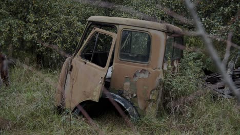 Viejo-Accidente-De-Camión-Oxidado-Por-El-Bosque-De-Chernobyl-En-Ucrania
