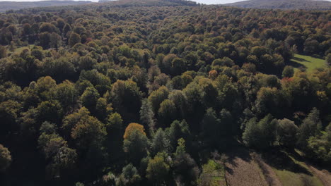 Revealing-shot-over-a-forest-with-autumn-colors-in-Romania-4K