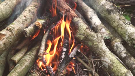 During-the-hike,-a-bonfire-in-nature