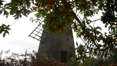 Bidston-Hill-Vintage-Landschaft-Windmühle-Getreidemühle-Englisches-Wahrzeichen-Rechts-Dolly-Durch-Die-Wildnis