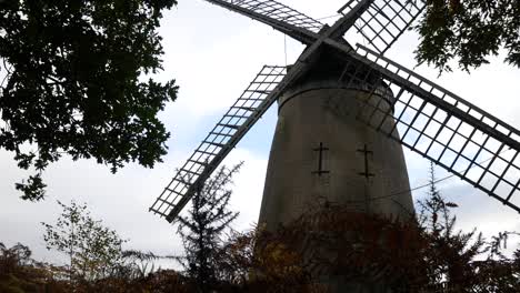Bidston-hill-vintage-countryside-windmill-flour-mill-English-landmark-dolly-right-view-from-bushes
