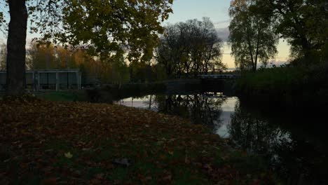 Goldene-Herbstfarben-Blätter-Auf-Dem-Boden-Mit-Einem-Kanal-Im-Hintergrund
