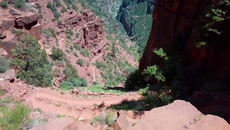 Tilting-up-shot-of-a-desert-canyon-with-plant-foliage-and-greenery