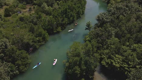Aerial-drown-birds-eye-view-of-paddle-boarders-slowly-paddling-up-river-surrounded-by-tropical-jungle