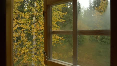 Wide-push-in-dolly-shot-of-misted-glass-window-in-a-mysterious-dark-room,-slowly-opening-revealing-a-beautiful-golden-forest-in-the-middle-of-autumn