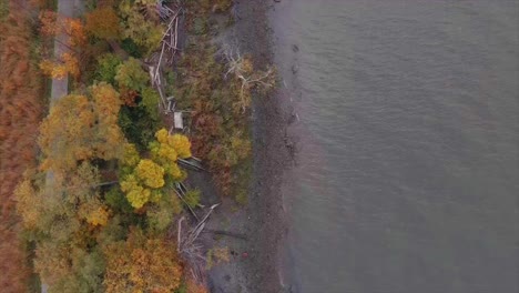 A-top-down,-bird's-eye-view-of-a-river-during-autumn-with-peak-foliage
