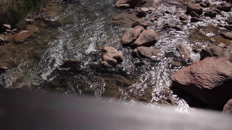 Wasser-Fließt-Im-Flusswanderungs-zion-nationalpark