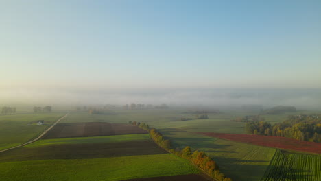 Aerial-flight-over-beautiful-agricultural-rural-farmland-with-row-of-trees-at-hazy-sunrise