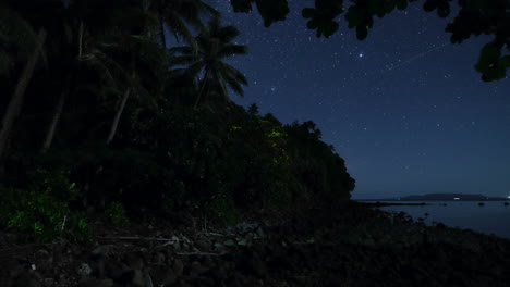 Ein-Baum-Leuchtet-Auf,-Während-Sich-Glühwürmchen-Mit-Sternen-Im-Hintergrund-In-Der-Nähe-Des-Meeres-Bewegen