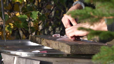 Man-preparing-perch-fish-fillets-outdoors-in-sunny-autumn-scenery