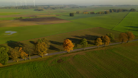 Aerial,-Car-driving-on-rural-road-past-endless-green-fields-at-golden-hour