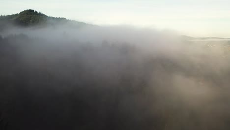 Volando-Hacia-Una-Densa-Niebla-Sobre-El-Bosque-De-Coníferas-Verdes