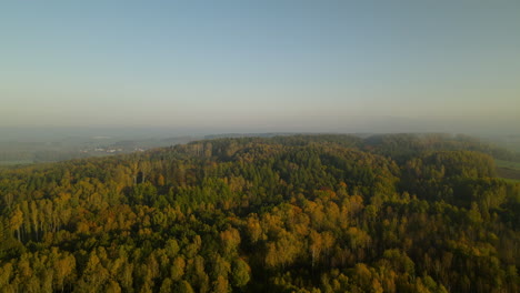 Aerial-flight-over-green-forest-with-yellow-fall-colors-on-hazy-blue-sky-day