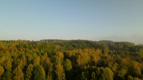Denso-Paisaje-Forestal-Cubierto-De-Brillantes-árboles-De-Otoño-En-Napromek,-Polonia---Toma-Aérea