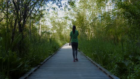 A-girl-walks-down-a-wooden-walkway-amongst-thick-vegetation