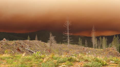 Wilderness-landscape-pan-of-thick-dark-orange-smoke-and-windy-wildfire-conditions