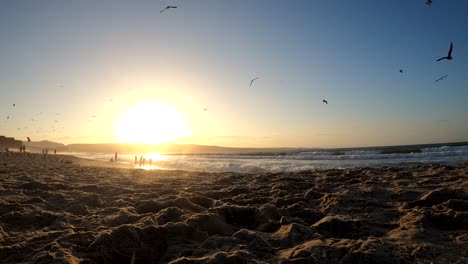 Wunderschöner-Strandsonnenuntergang-Mit-Seevögeln,-Die-Durch-Den-Himmel-Schweben,-Und-Silhouetten-Von-Menschen,-Die-Sich-Im-Hintergrund-Amüsieren