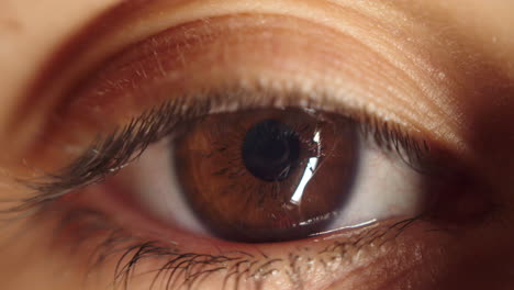 Extreme-Makro-Detail-Nahaufnahme-Eines-Einzelnen-Hübschen-Braunen-Auges,-Weicher-Fokus,-Statisch