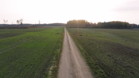Fast-forward-fly-above-dirt-road-beside-farm-fields-in-latvia