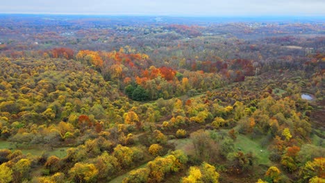 Rising-up-over-an-arboretum-and-valley-during-fall-at-peak-foliage