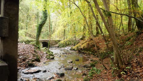 Peaceful-wooden-bridge-crossing-natural-flowing-stream-in-Autumn-forest-woodland-wilderness-dolly-left