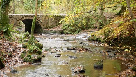 Flowing-Autumn-woodland-forest-river-stone-arch-bridge-wilderness-foliage