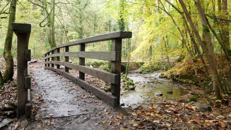 Wooden-bridge-crossing-natural-flowing-stream-in-Autumn-seasonal-forest-woodland-wilderness