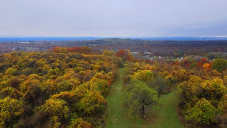 Niedrige-Luftaufnahmen-Eines-Baumgartenparks-Und--tals-Im-Herbst