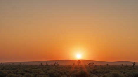 Herrlicher-Goldener-Sonnenaufgang-Im-Zeitraffer-über-Der-Ruhigen-Landschaft-Der-Mojave-Wüste-Und-Des-Joshua-Tree-Waldes