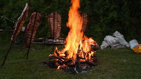 Meat-Roasted-at-Stakes-by-Big-Camping-Fire-at-Night