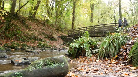 Wooden-bridge-crossing-natural-flowing-stream-in-Autumn-forest-woodland-wilderness-low-left-dolly