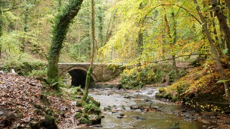 Fließender-Herbstlich-Walisischer-Waldstrom-Steinbogenbrücke-Wildnis-Laub
